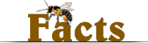 Honey Facts